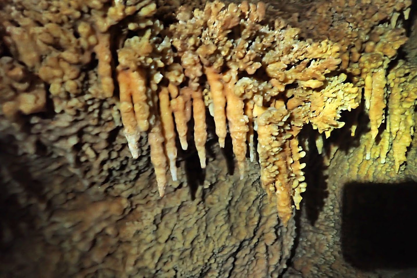 Grotte du Grand Draïoun
